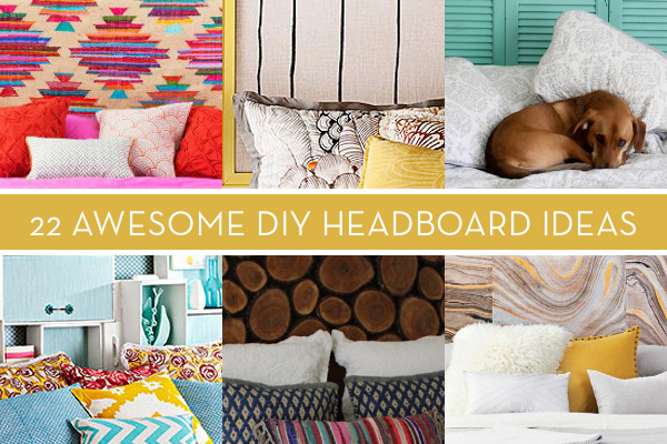 Puppy lying on bed near plantation shutters.