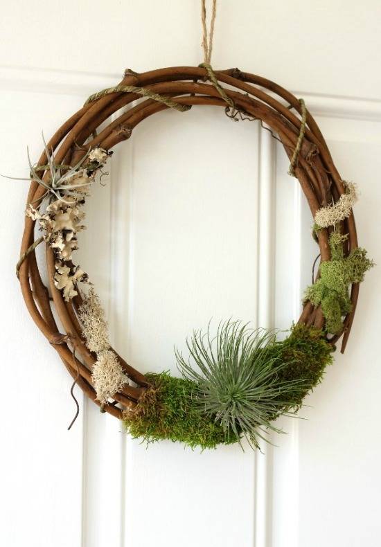 6 DIY Desert Plant Projects For The Home