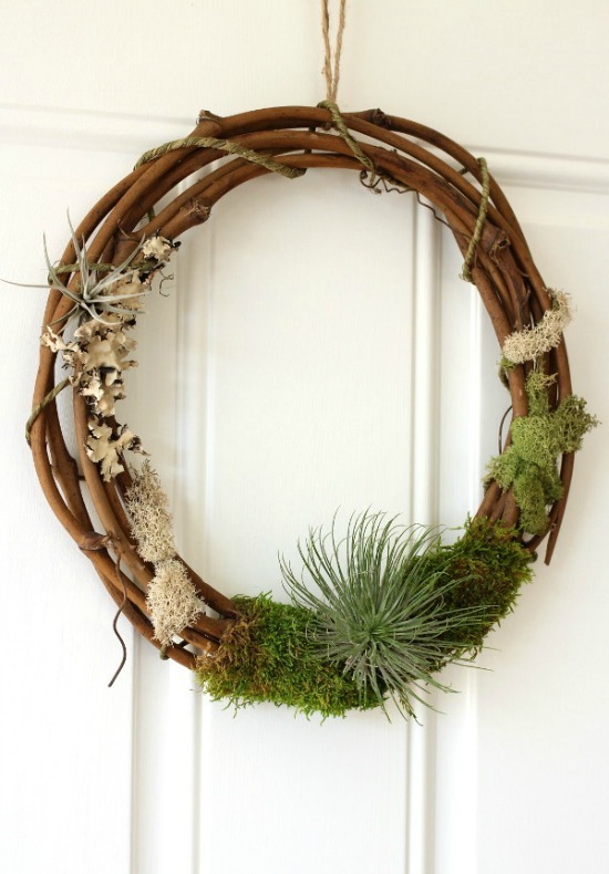 6 DIY Desert Plant Projects For The Home