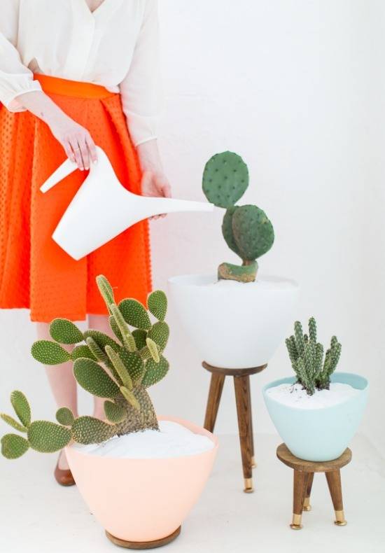 6 DIY Desert Plant Projects For The Home