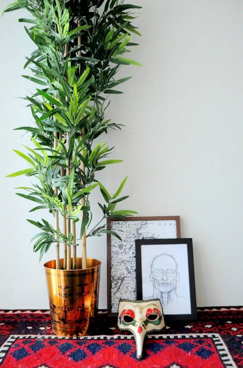 A tall indoor potted plant is displayed next to an artistic mask and a couple of framed drawings.