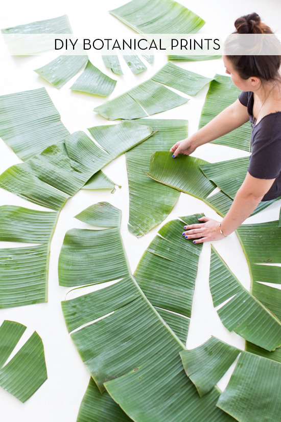 diy botanical prints