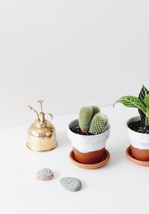 A gold spritzer can next to two potted plants and two little rocks.