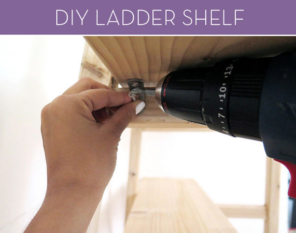 DIY Ladder Shelf