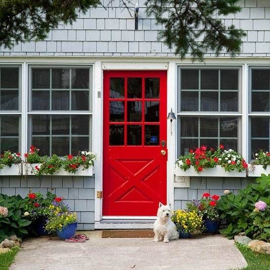 cherry red door for a white house and with white dog in front