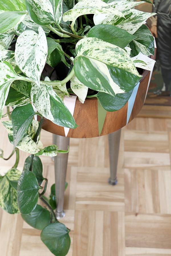 DIY Modern Plant Stand