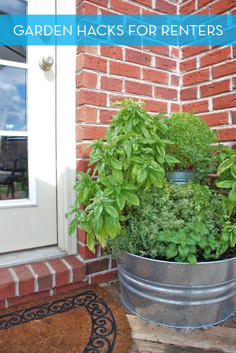 tips forbuildling a garden while renting