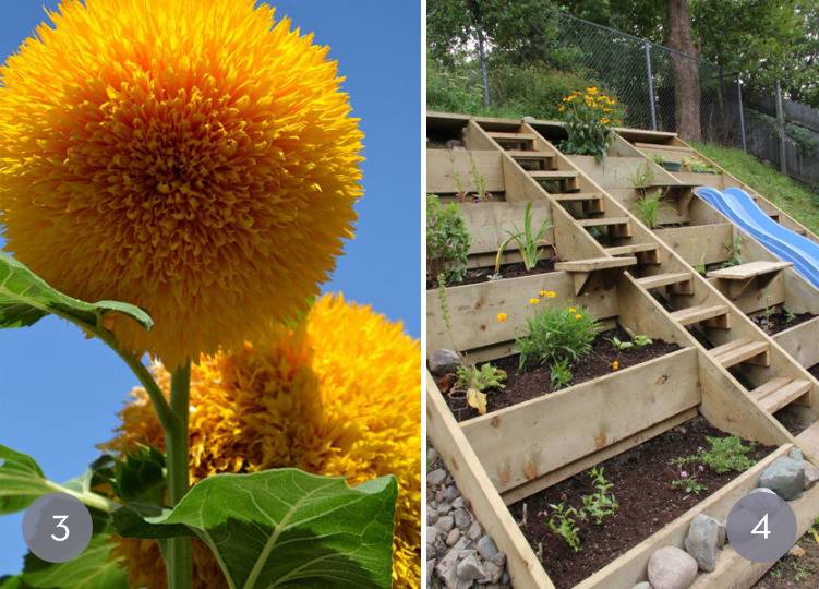 Eye Candy: 10 Unique Backyard Landscaping Ideas (That You Might Be Able To Pull Off)