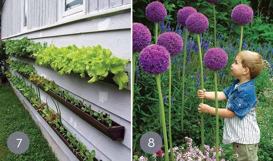 Eye Candy: 10 Unique Backyard Landscaping Ideas (That You Might Be Able To Pull Off)