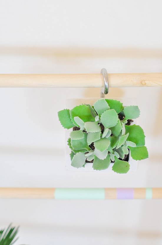 How To: DIY Ladder Garden With Hanging Succulents 