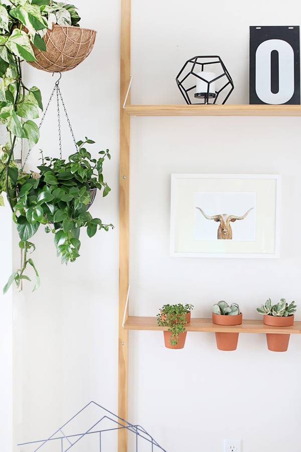 DIY Hanging Planter Shelf