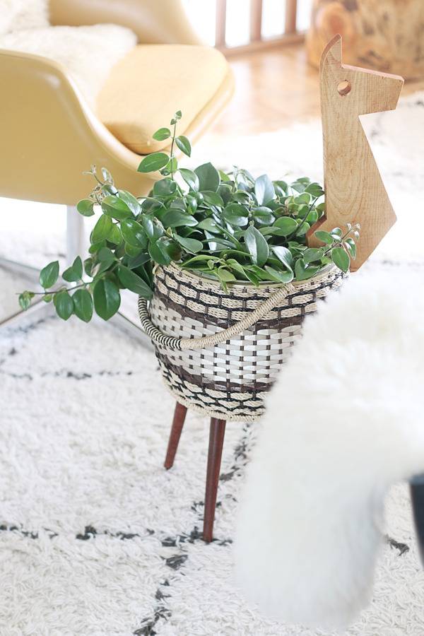 Turn a Sewing Basket into a Playful Planter | Hello Lidy for Curbly