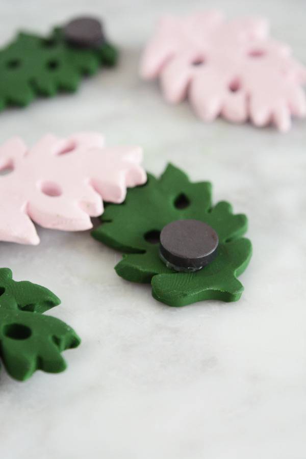 Green and pink leaves are being turned into magnets.