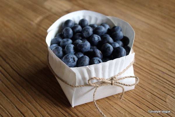 A white paper plate is folded to form a basket and tied with twine to hold blueberries.