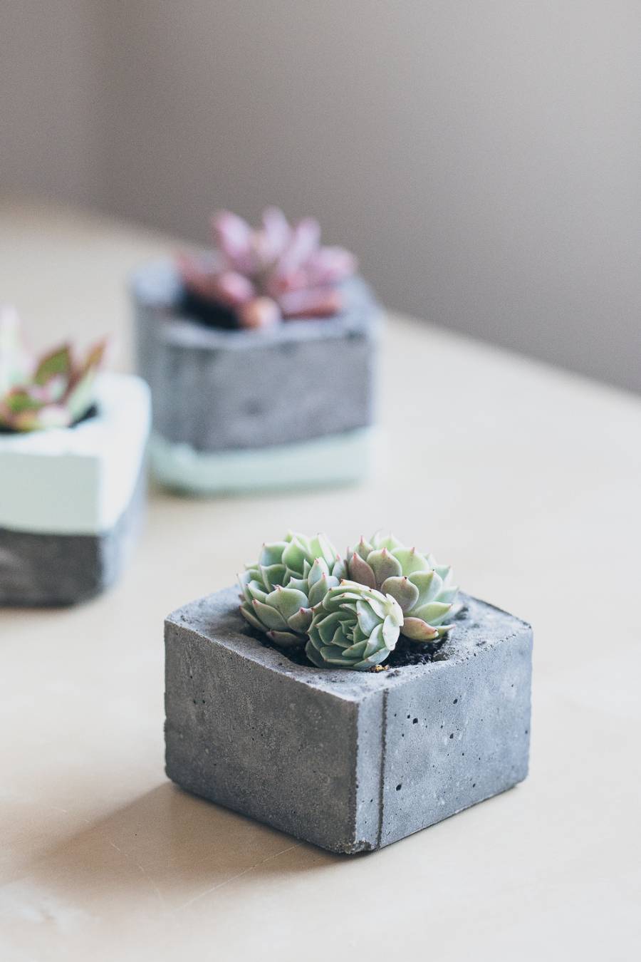 These DIY concrete planters from Erin Made This are the perfect weekend project.