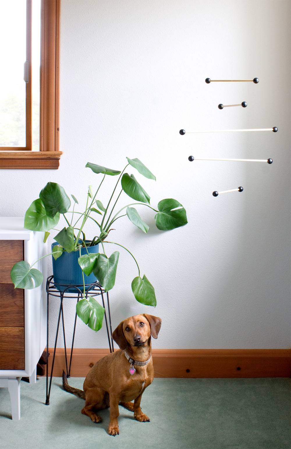 A dog sitting underneath a potted plant.