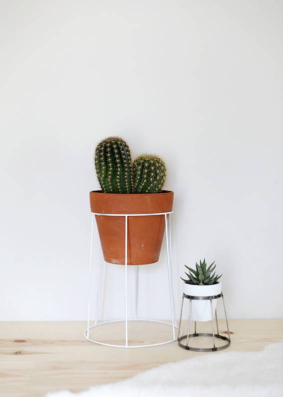 A cactus plant in a brown flower pot, and a smaller one in a white flower pot