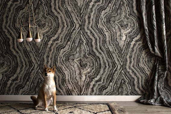 A brown and white dog standing in front of a grey woodsy wallpaper and under a three light pendulant.