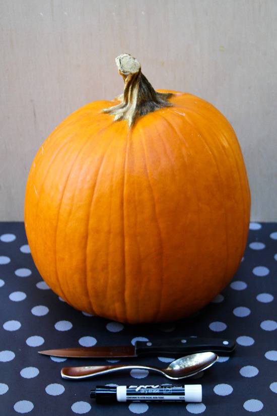 Silverware sits in front of a pumpkin on a blue and light blue polka dotted tablecloth.