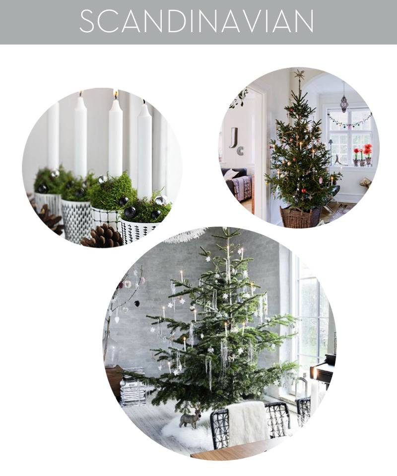 "Beautiful Christmas trees and plants."