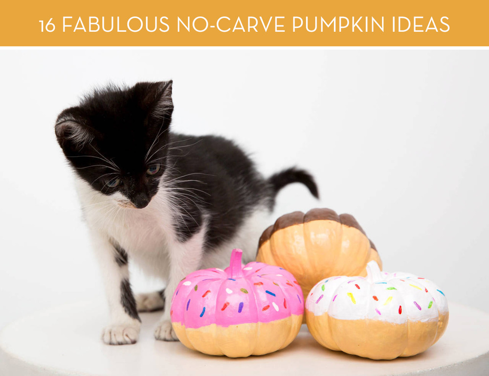 http://www.cosmopolitan.com/style-beauty/fashion/how-to/a31217/no-carve-pumpkin-decorating/