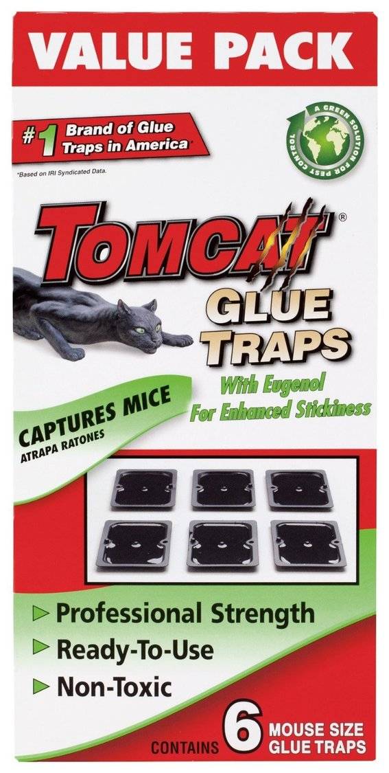 Mice capture trap cakes.
