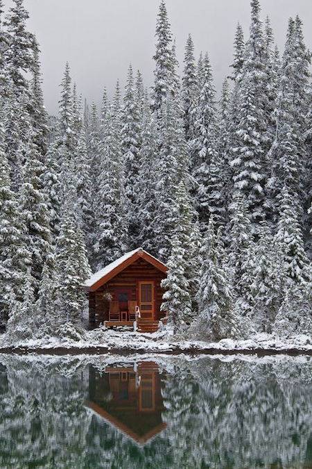 Nordic wonderland cabin