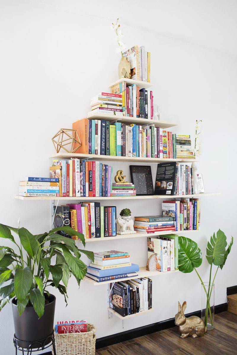 A book shelf is hanging on a wall near plants.