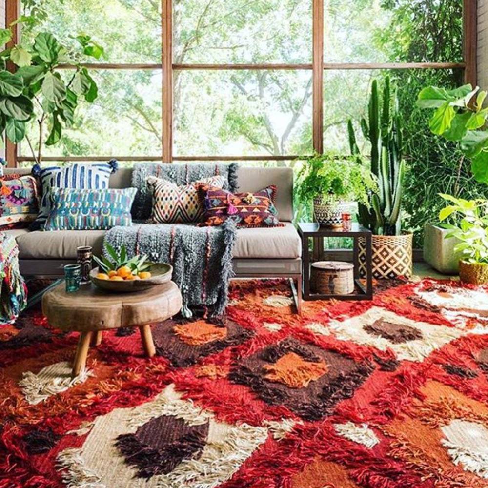 Colorful rug on the floor and well decorated room along with plants.