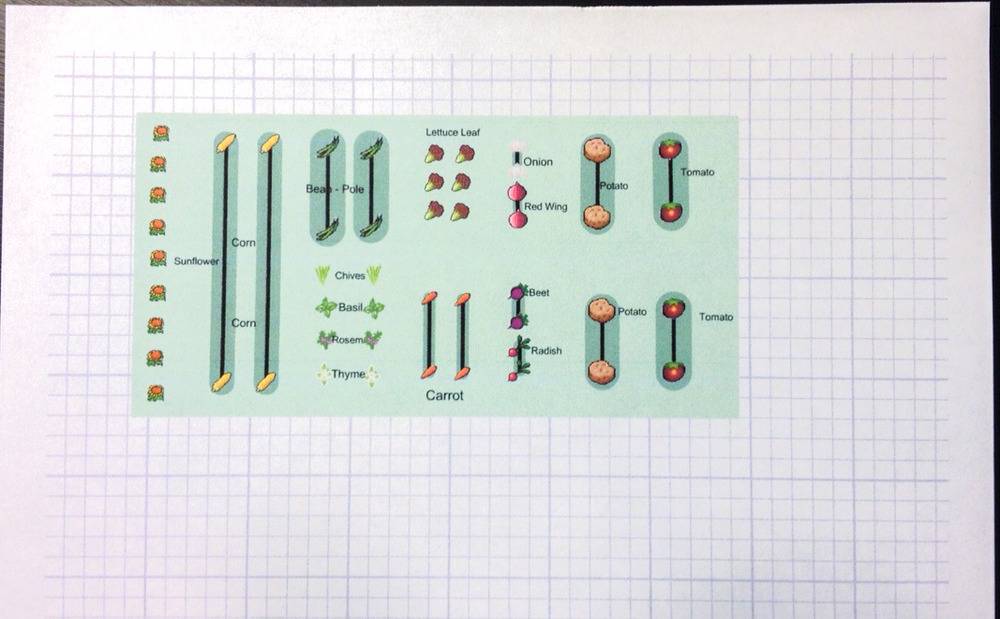 A diagram with different size green lines on graph paper.