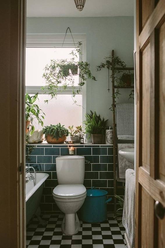Add plants for decor Solutions for Rental Bathrooms