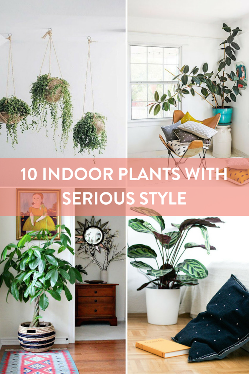 Roundup: 10 Stylish Indoor plants