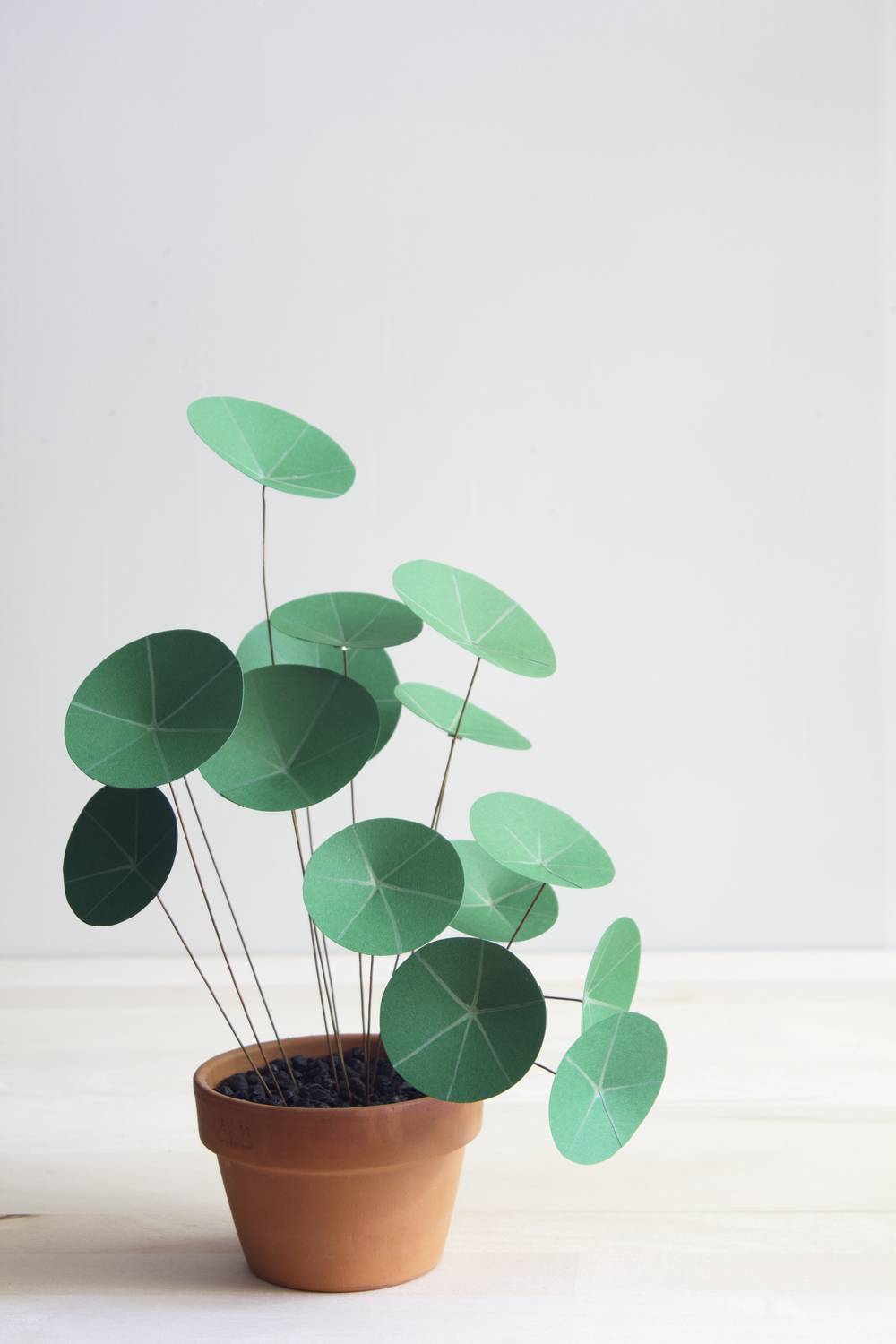 Gorgeous DIY Paper Chinese Money Plant