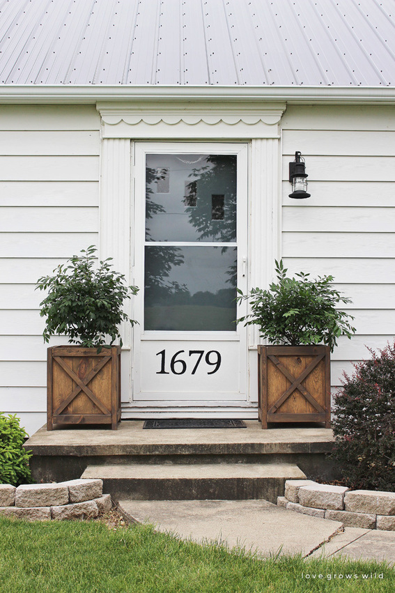 Front entry of a white house with a white door flanked by matching green plants in box planters.