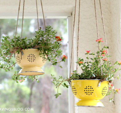 8 Clever Ways to Repurpose Items for use in your Garden