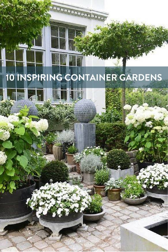 Gorgeous Container Gardens