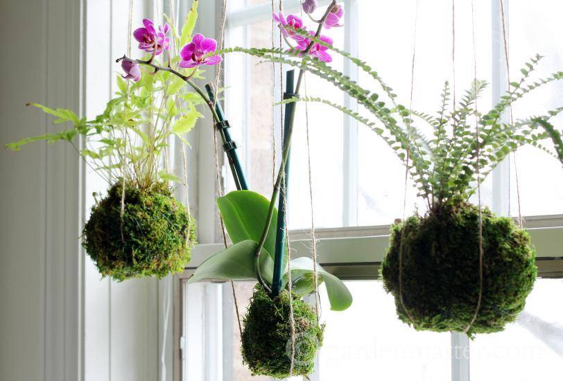 EYE CANDY: Ways To Bring The Garden Indoors 