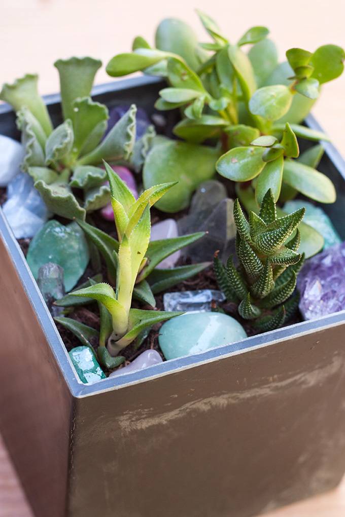 EYE CANDY: Ways To Bring The Garden Indoors 