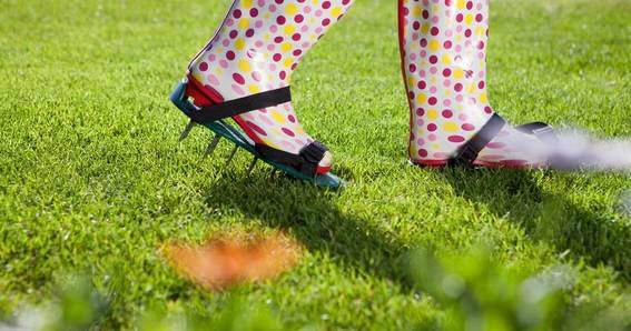 How to Get your yard ready this spring