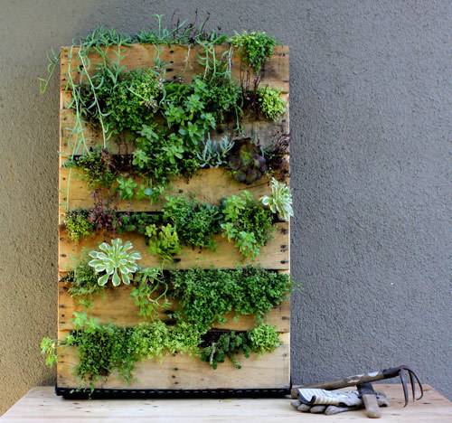 8 Clever Ways to Repurpose Items for use in your Garden