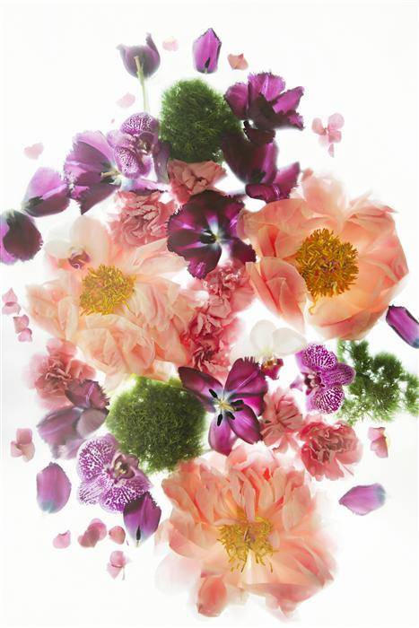 Roundup: 10 Online Shops For Affordable Art 