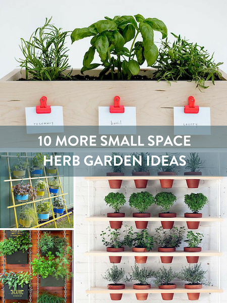 Small Space Herb Garden Ideas Pinterest Image