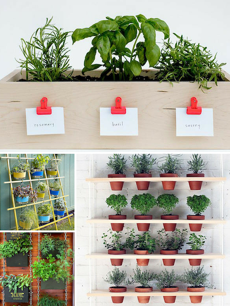 Small Space Herb Garden Ideas Feature Image