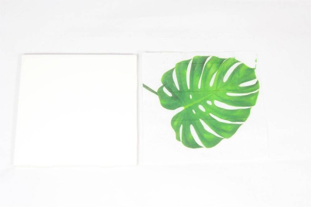 tropical leaf and white tile coaster