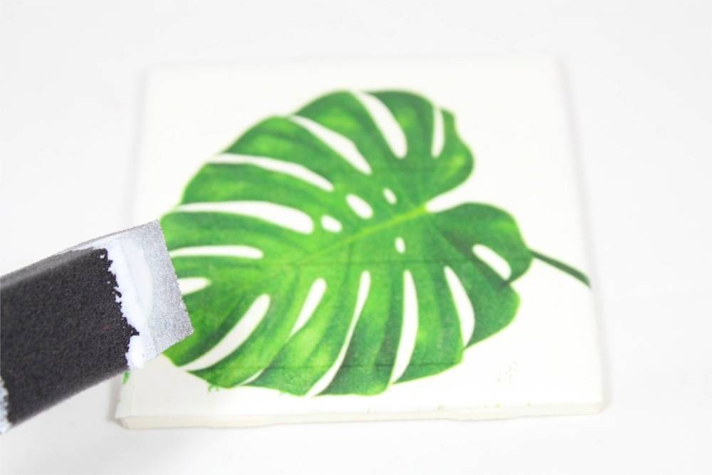 tropical leaf coaster and foam brush