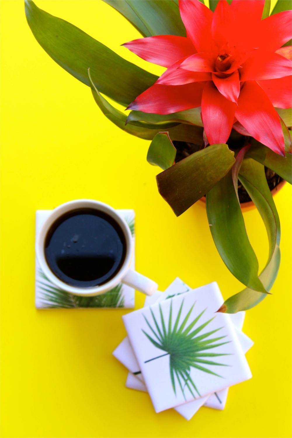 diy tropical leaf coasters and pink flower