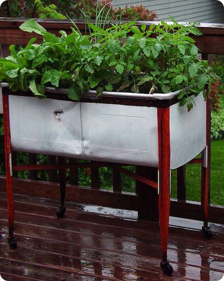 double-sink/laundry tub as raised garden