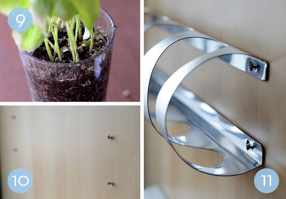 Seedlings in a glass, screws sticking out of a wall and a silver rack held on by two screws.