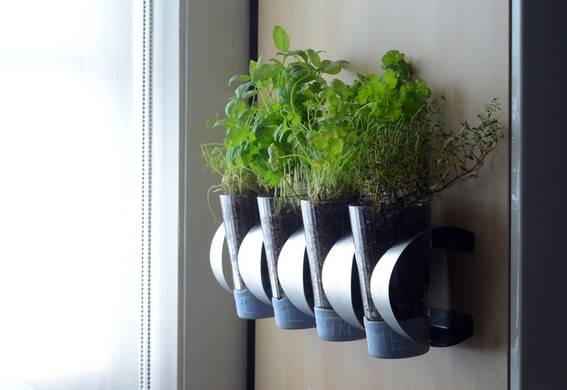Plants sitting in four vases attached to the walls.