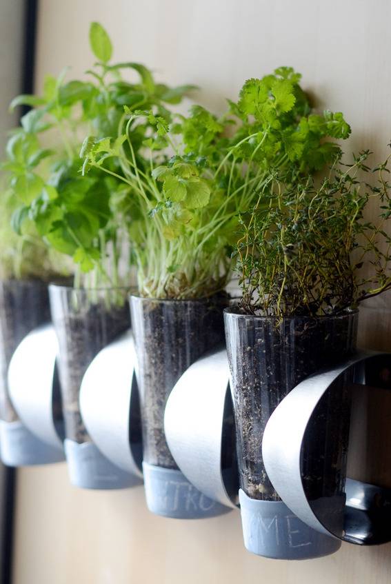 IKEA Vurm wine rack transformed into an indoor herb garden